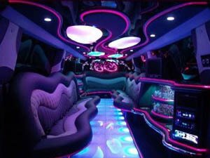 neon light interior party bus in knoxville